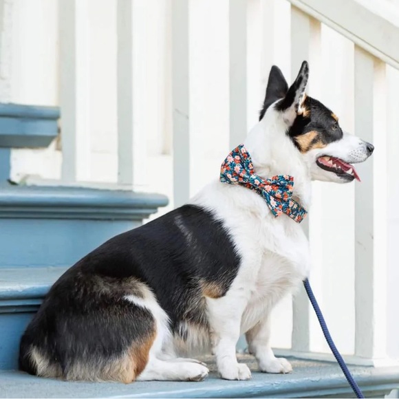 NWTs Foggy Dog Inky Blooms Dog Bow Tie - Large - Picture 2 of 12